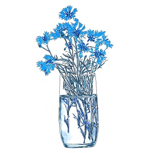 Carte Bleuets