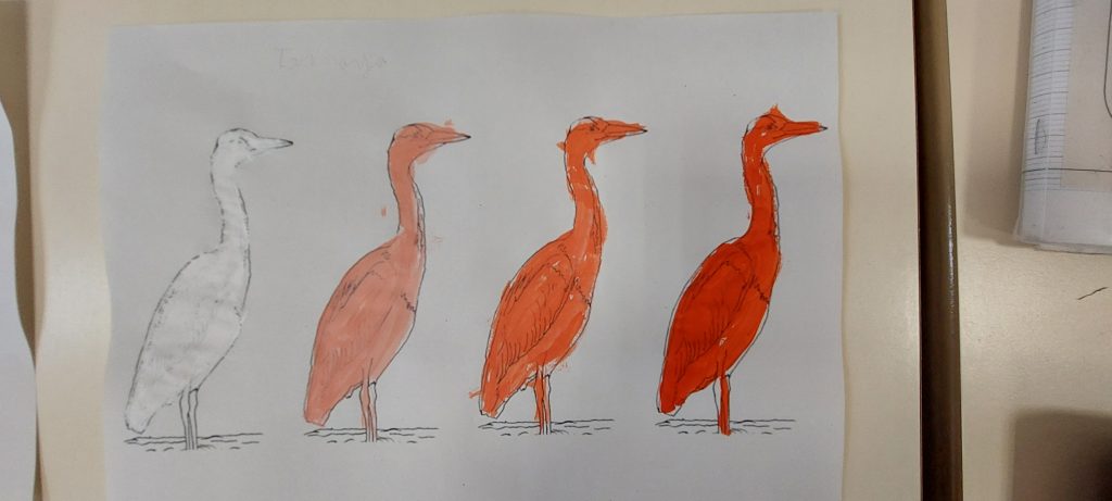 Hérons peints en rouge