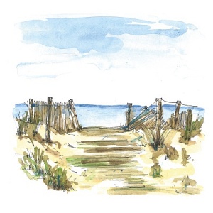 Carte Dune de sable