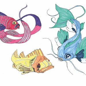 Lot de 3 cartes Animaux des mers