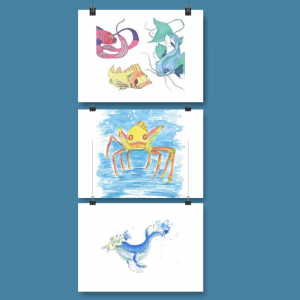 Lot de 3 cartes Animaux des mers