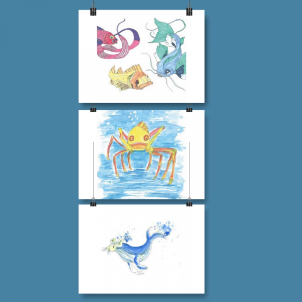 Lot de 3 cartes avec les 3 poissons, le poisson-crabe et la créature des mers.