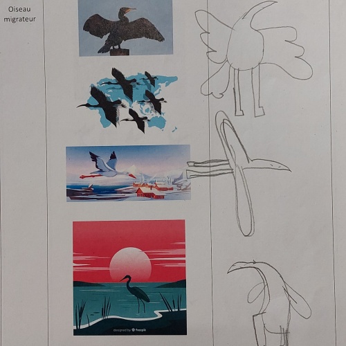 Dessins d'oiseaux migrateurs.