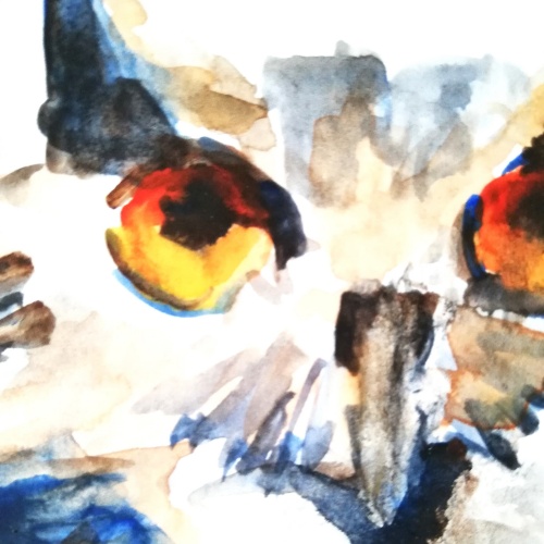Dessin aquarelle d'une tête de chouette.
