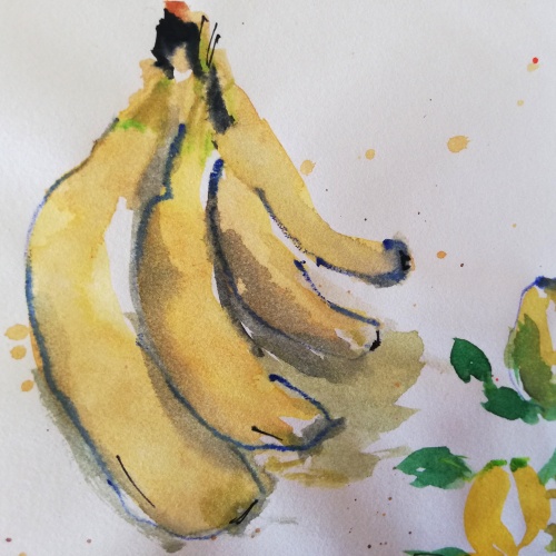 Croquis aquarelle d'une grappe de bananes.