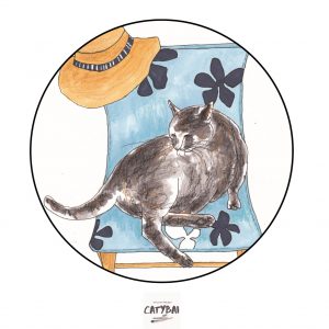Carte Chat dans une chaise longue